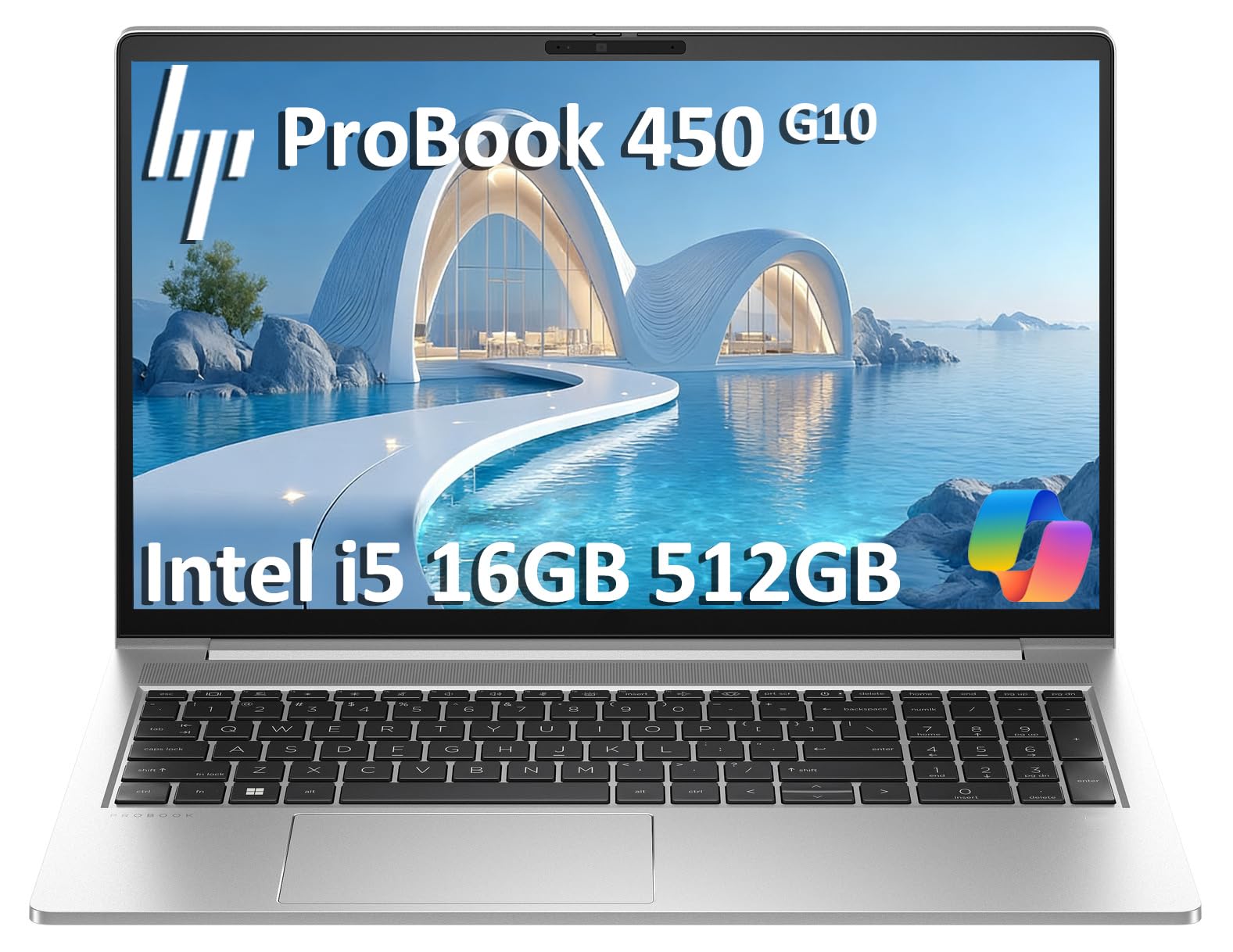 Amazon.com: HP ProBook Business Laptop (15.6